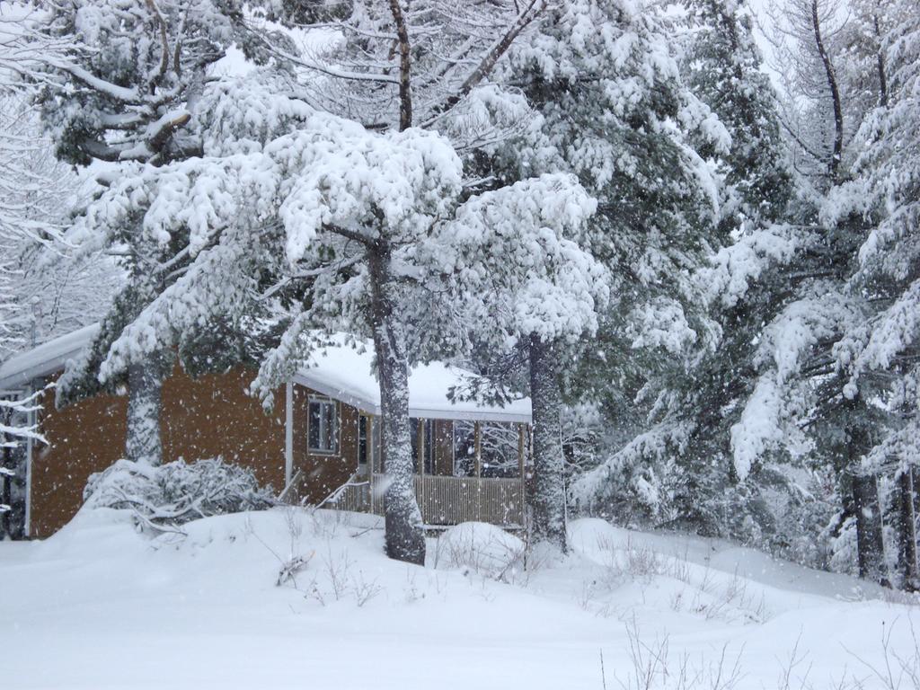 Auberge La Taniere Tadoussac Exterior foto